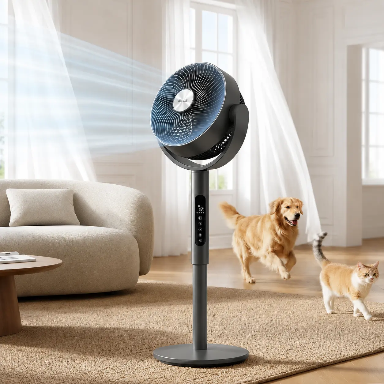 Levolt 2-in-1 — black variant — image 2